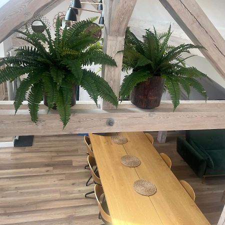Attic Appart Stary Toruń Εξωτερικό φωτογραφία