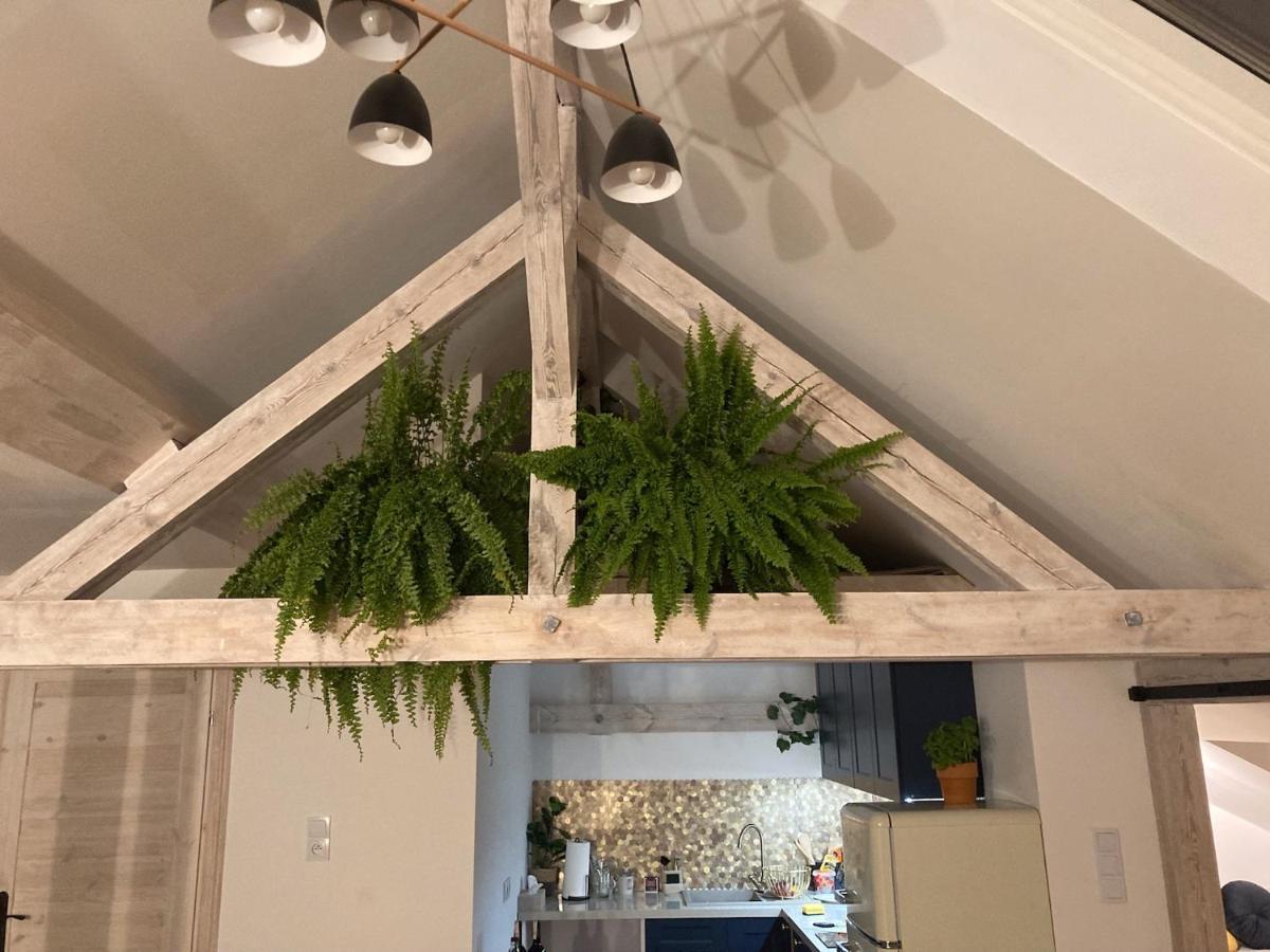 Attic Appart Stary Toruń Εξωτερικό φωτογραφία